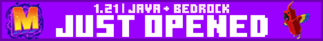 MetroMC banner MetroMC Minecraft server banner