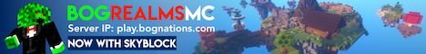 BogRealmsMC Skyblock banner BogRealmsMC Skyblock Minecraft server banner