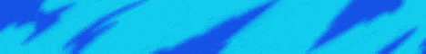 Panther Kingdom banner Panther Kingdom Minecraft server banner