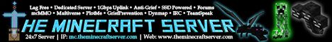 The Minecraft Server Network banner The Minecraft Server Network Minecraft server banner