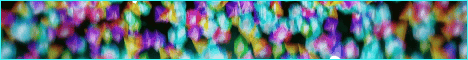 PangMC banner PangMC Minecraft server banner