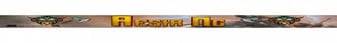 AESIRMC banner AESIRMC Minecraft server banner