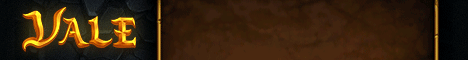 Vale Network banner Vale Network Minecraft server banner
