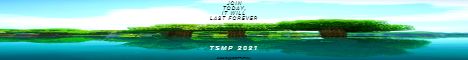 TSMP 2021 banner TSMP 2021 Minecraft server banner