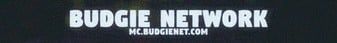 BudgieNet banner BudgieNet Minecraft server banner