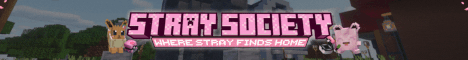 Stray Society banner Stray Society Minecraft server banner