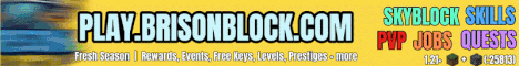 Brison Block banner Brison Block Minecraft server banner