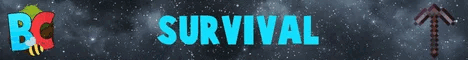 Binstercraft banner Binstercraft Minecraft server banner