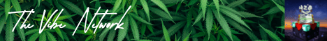 The Vibe Network banner The Vibe Network Minecraft server banner