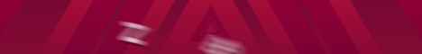ZBird SMP banner ZBird SMP Minecraft server banner