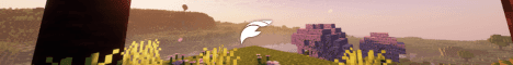 FelipeMC banner FelipeMC Minecraft server banner