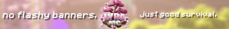 LyraMC banner LyraMC Minecraft server banner