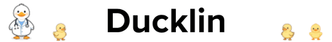 Ducklin banner Ducklin Minecraft server banner