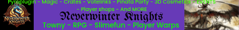 Neverwinter Knights banner Neverwinter Knights Minecraft server banner