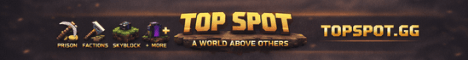 TOP SPOT banner TOP SPOT Minecraft server banner