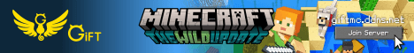 Gift Minecraft banner Gift Minecraft Minecraft server banner