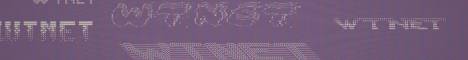 WTNET banner WTNET Minecraft server banner