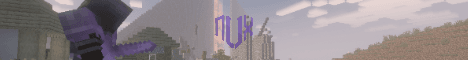 NVX banner NVX Minecraft server banner
