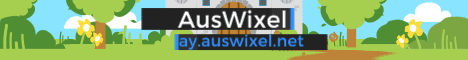 Wixel Network banner Wixel Network Minecraft server banner
