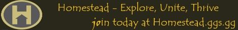 Homestead banner Homestead Minecraft server banner