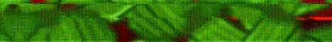 AppleMC banner AppleMC Minecraft server banner