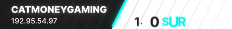 CatMoneyGaming banner CatMoneyGaming Minecraft server banner