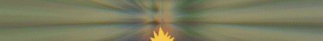 PokeWild banner PokeWild Minecraft server banner