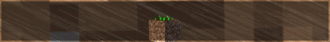 DirtMC banner DirtMC Minecraft server banner
