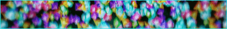 HydenMC banner HydenMC Minecraft server banner