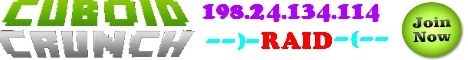 Cuboid Crunch RAID banner Cuboid Crunch RAID Minecraft server banner