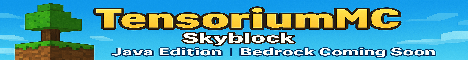 TensoriumMC banner TensoriumMC Minecraft server banner