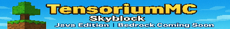 TensoriumMC banner TensoriumMC Minecraft server banner