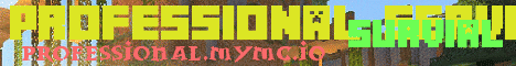 Professional Server banner Professional Server Minecraft server banner