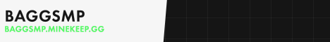 BaggSMP banner BaggSMP Minecraft server banner