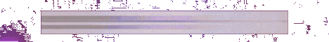 CobbleX banner CobbleX Minecraft server banner