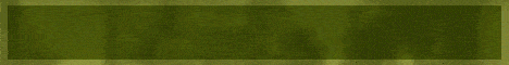 Minelife Survival banner Minelife Survival Minecraft server banner