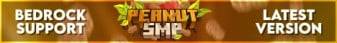 PeanutSMP banner PeanutSMP Minecraft server banner