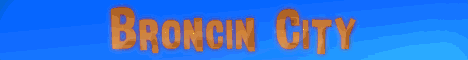 Broncin banner Broncin Minecraft server banner