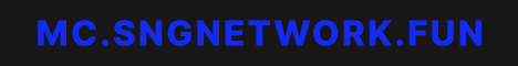 SNG Network banner SNG Network Minecraft server banner