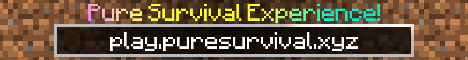 PureSurvival banner PureSurvival Minecraft server banner