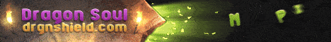 DragonShieldMC banner DragonShieldMC Minecraft server banner