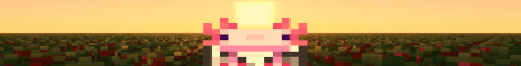Seaberria banner Seaberria Minecraft server banner