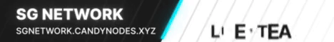 SG Network banner SG Network Minecraft server banner