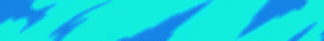 camellot banner camellot Minecraft server banner
