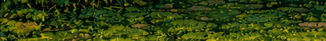 PokeLand banner PokeLand Minecraft server banner