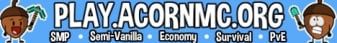 Acorn banner Acorn Minecraft server banner