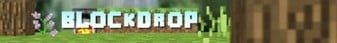Blockdrop banner Blockdrop Minecraft server banner