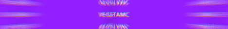 VegetaMC banner VegetaMC Minecraft server banner