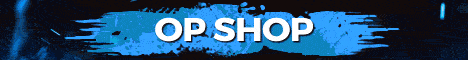 skyblock.in banner skyblock.in Minecraft server banner