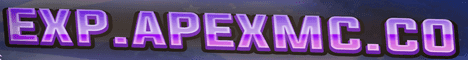 Experience banner Experience Minecraft server banner
